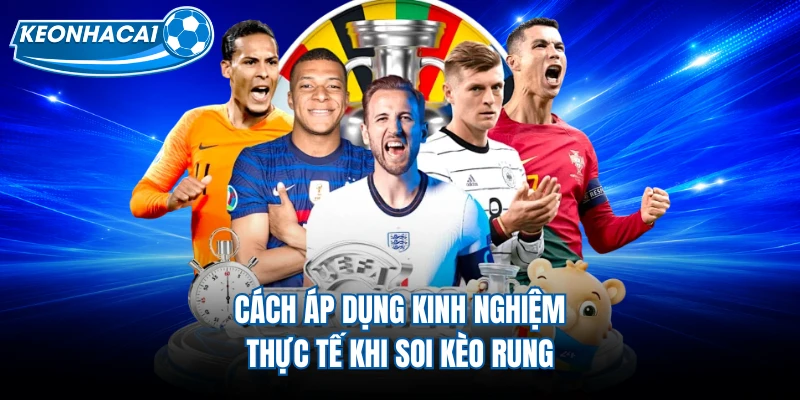 Cách áp dụng kinh nghiệm thực tế khi soi kèo rung