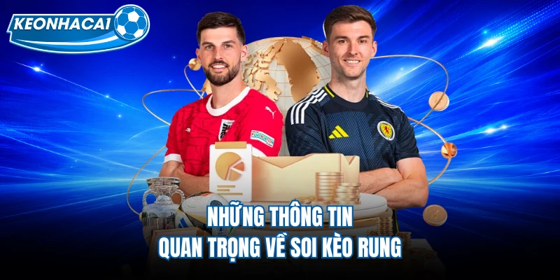 Những thông tin quan trọng về soi kèo rung